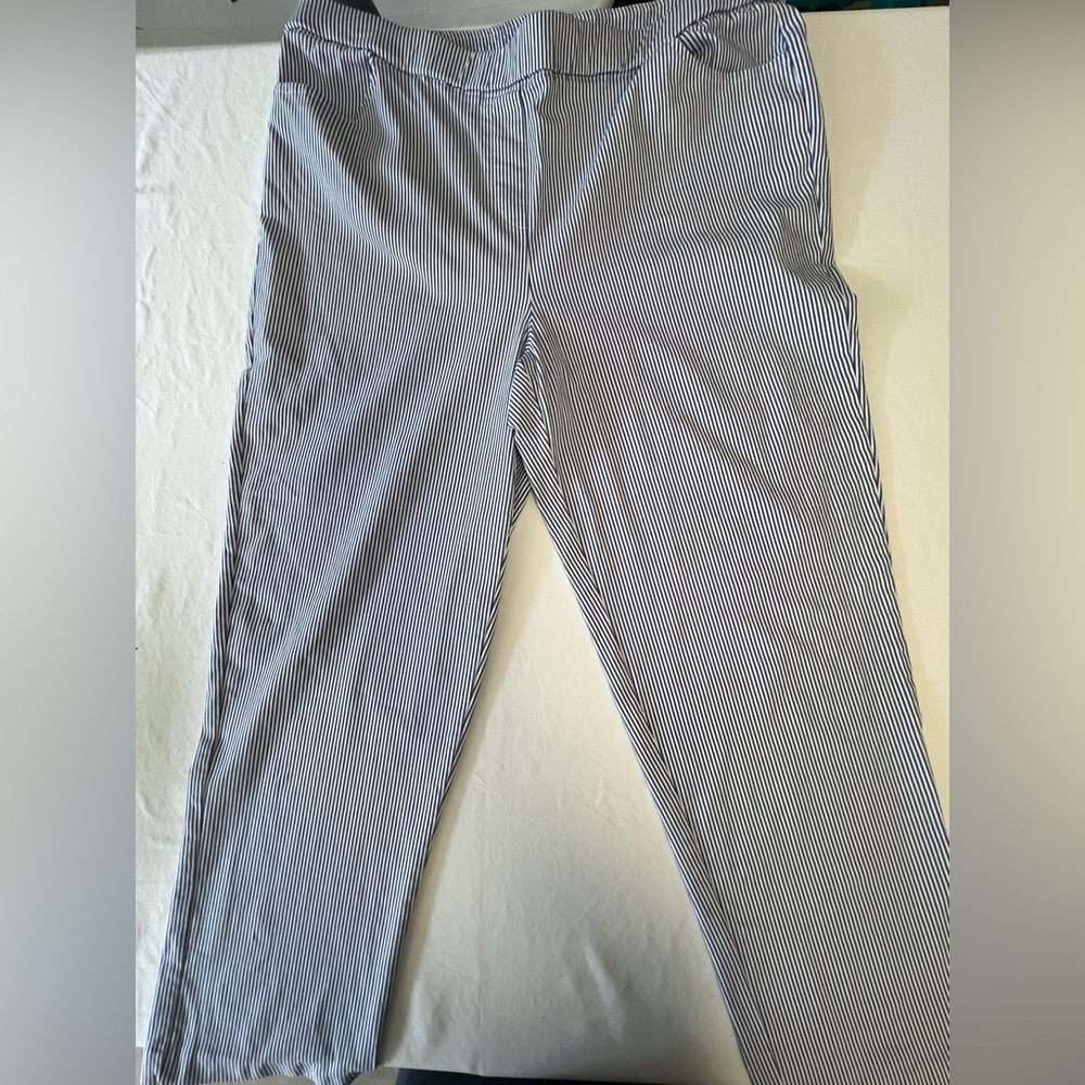 Alfred Dunner Blue and White Dress Pants Classic Straight-Leg